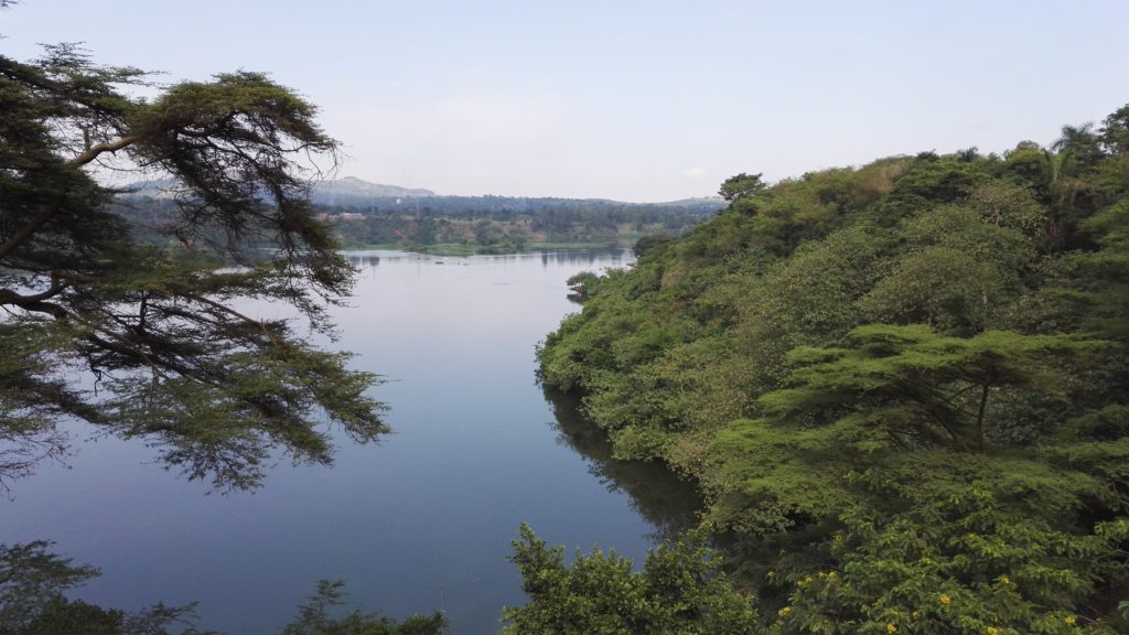 Looking out at the Nile in Jinja